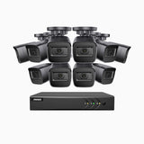 EL200 - 1080p 16 Channel Outdoor Wired Security CCTV System with 10 Cameras, 3.6 MM Lens, Smart DVR with Human & Vehicle Detection, 66 ft Infrared Night Vision, 4-in-1 Output Signal, IP67