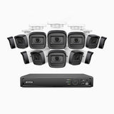 H300 - 2K 3MP 16 Channel 12 Cameras PoE Security System, EXIR 2.0 Night Vision, Motion Detection, H.265+, IP67 Waterproof